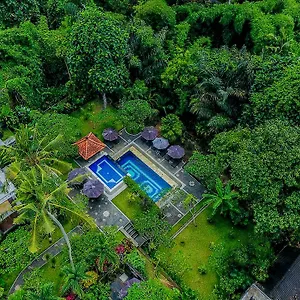Alas Petulu And Ubud (Bali)